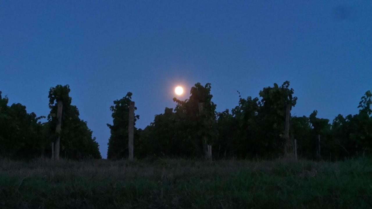 Dom Peyreton Prestige Cottages Set In A Charming Wine Property Villegouge Екстер'єр фото